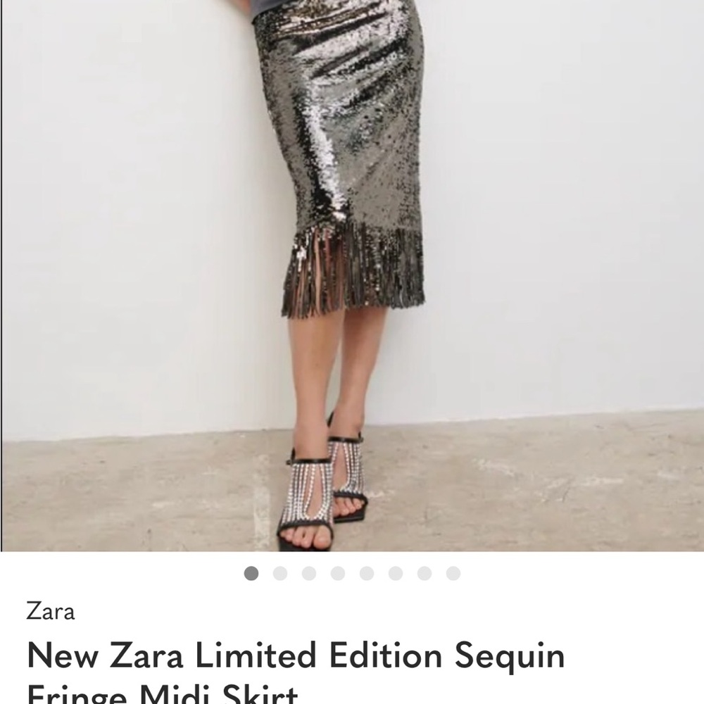 Zara Metallic Sequin Fringe Midi Skirt
